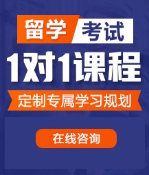 骚逼视频网站免费观看留学考试一对一精品课